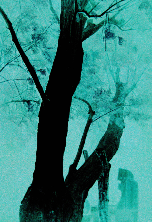 Marguerite Bornhauser